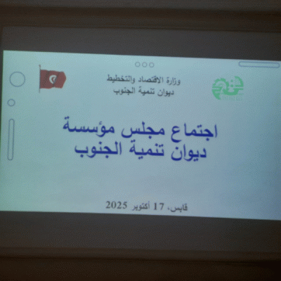 إجتماع مجلس مؤسسة ديوان تنمية الجنوب إجتماع مجلس مؤسسة ديوان تنمية الجنوب